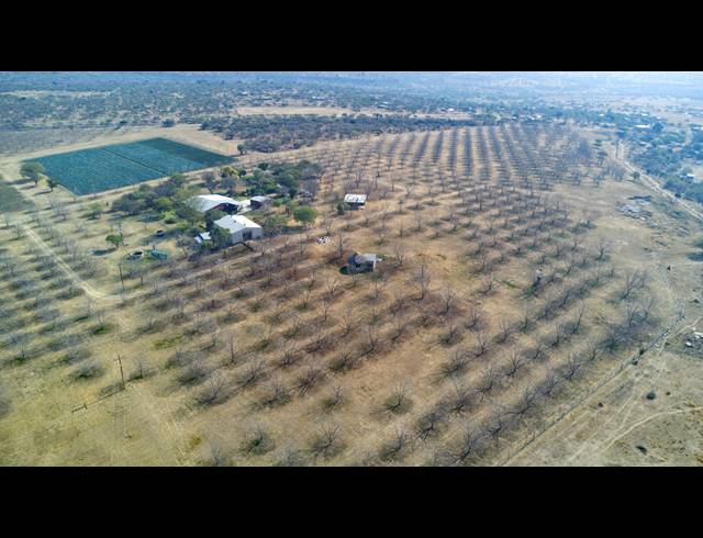 31HA FARM FOR SALE IN WEENEN